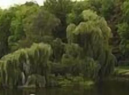 Bed & Breakfast B&B Pincky Brunssum